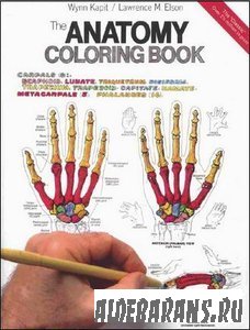 Anatomy Coloring Book, The 2nd Edition