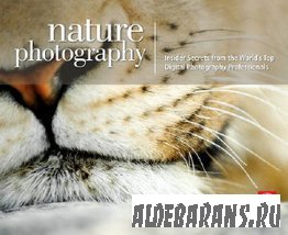 Nature Photography: Insider Secrets from the Worlds Top Digital Photography ...